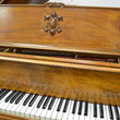 1909 Circassian walnut Steinway Louis XVI grand - Grand Pianos